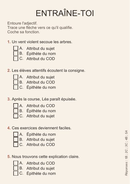 Verso de la fiche Adjectif : exercices et correction