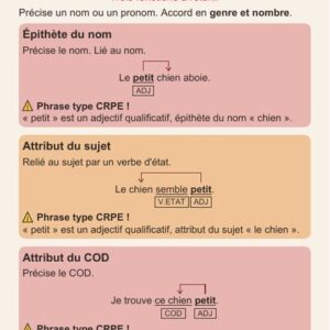 Box Français